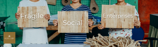 Fragile Social Enterprises