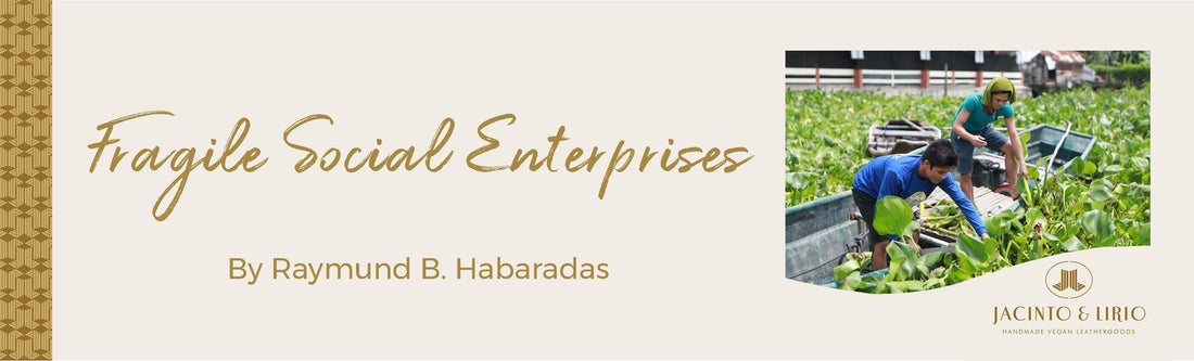 Fragile social enterprises