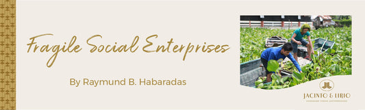 Fragile social enterprises