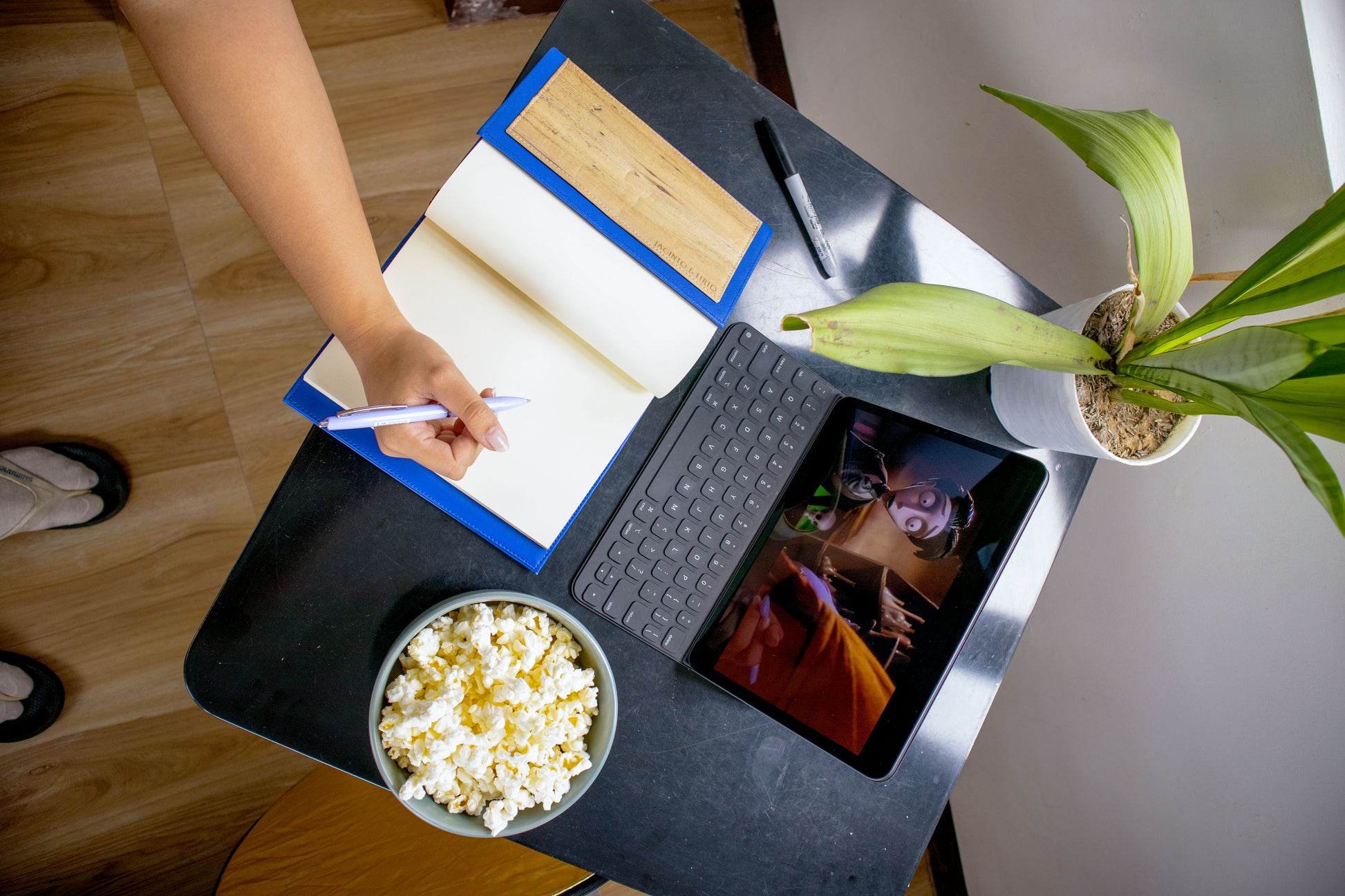 Feliz Navidad: Christmas Holiday Gift Set - Jacinto & Lirio