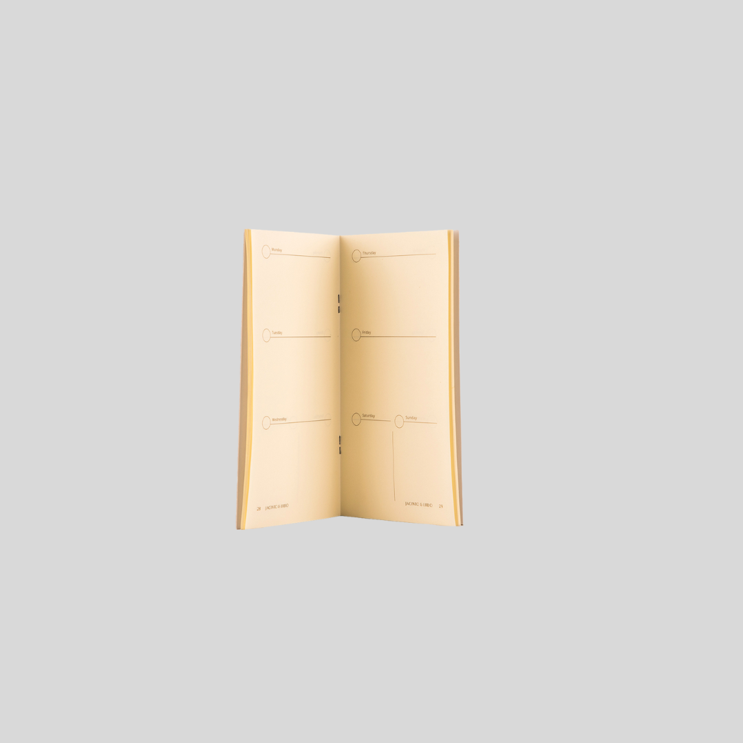 Traveler’s Notebook Standard Sized Dateless Planner Weekly Inserts