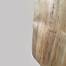 Load image into Gallery viewer, Vegan Leather Insulated Eco Bag - Jacinto &amp; Lirio