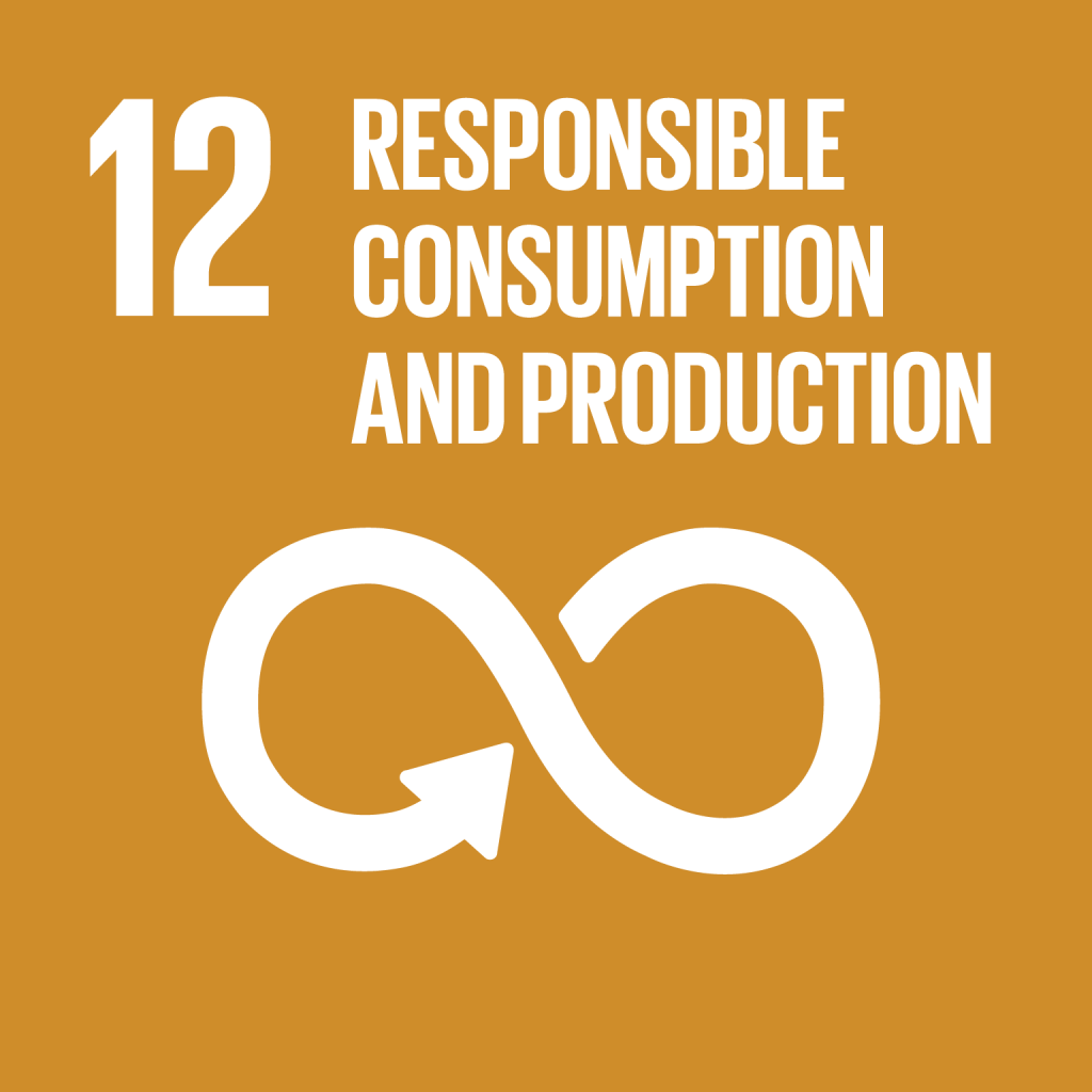 sustainable development goal 12: responsible consumption