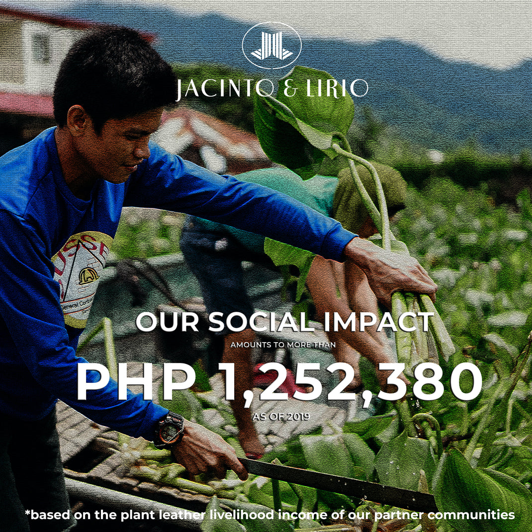 Environmental Impact – Jacinto & Lirio