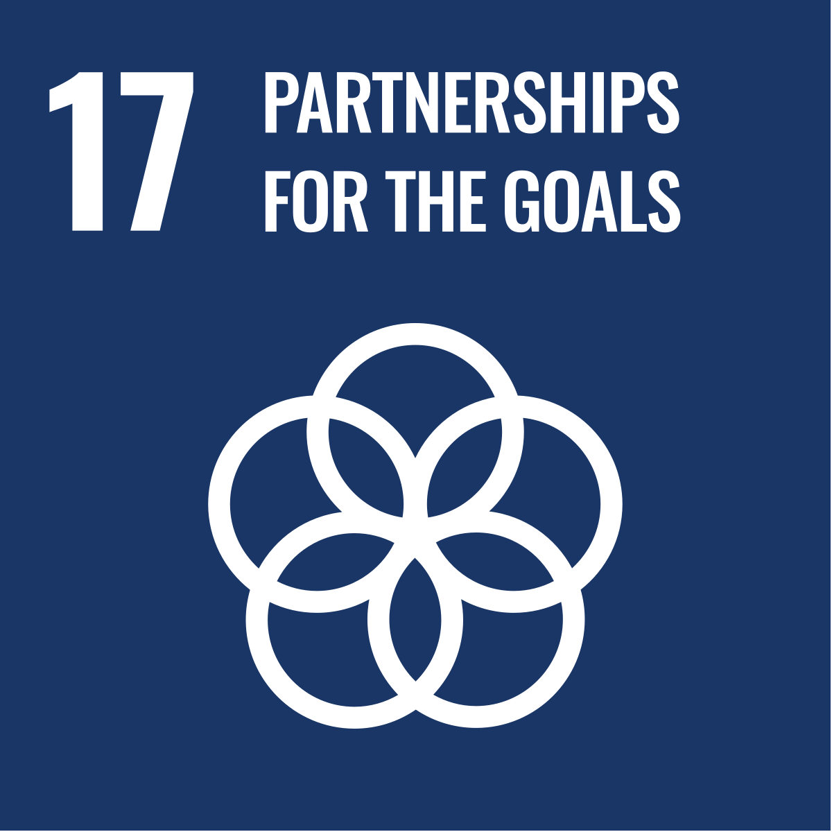 sustainable development goal 17: partnership for the goals